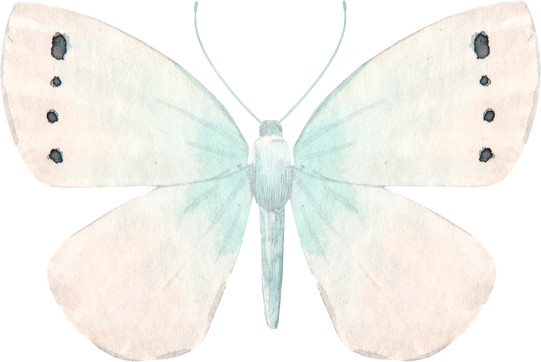 White watercolor butterfly